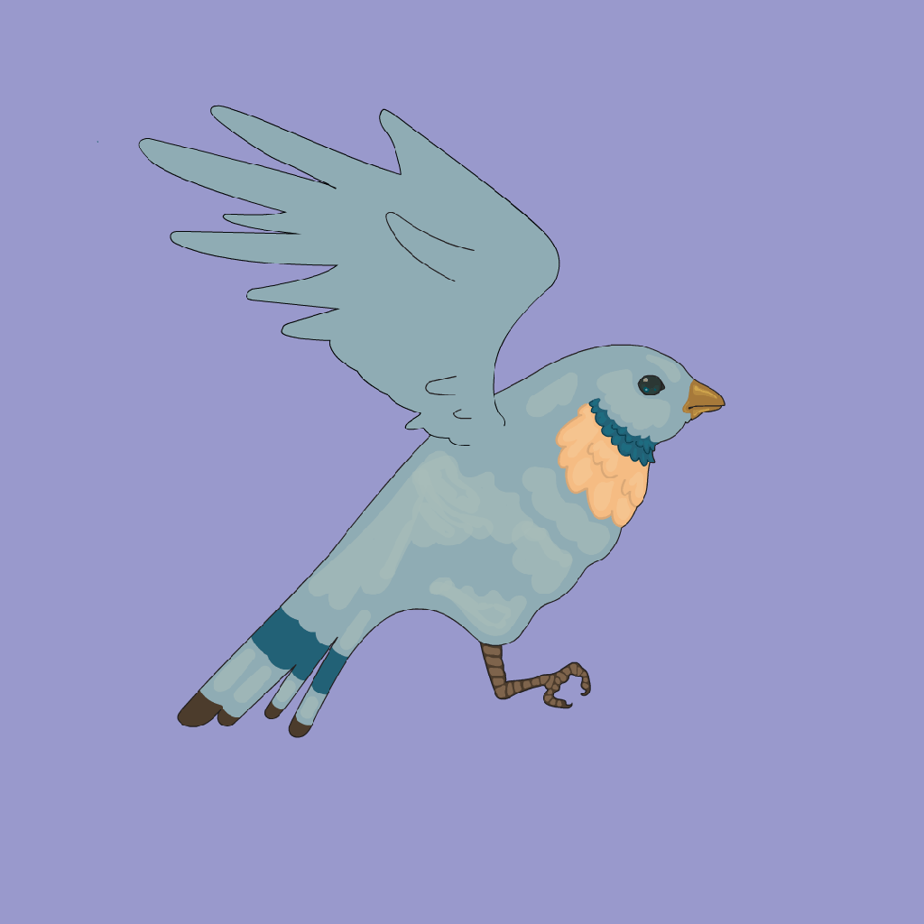 Bird flap cycle, Illustrator and Adobe animate